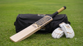 Barun Kashmir Willow Cricket Bat – Pro Series